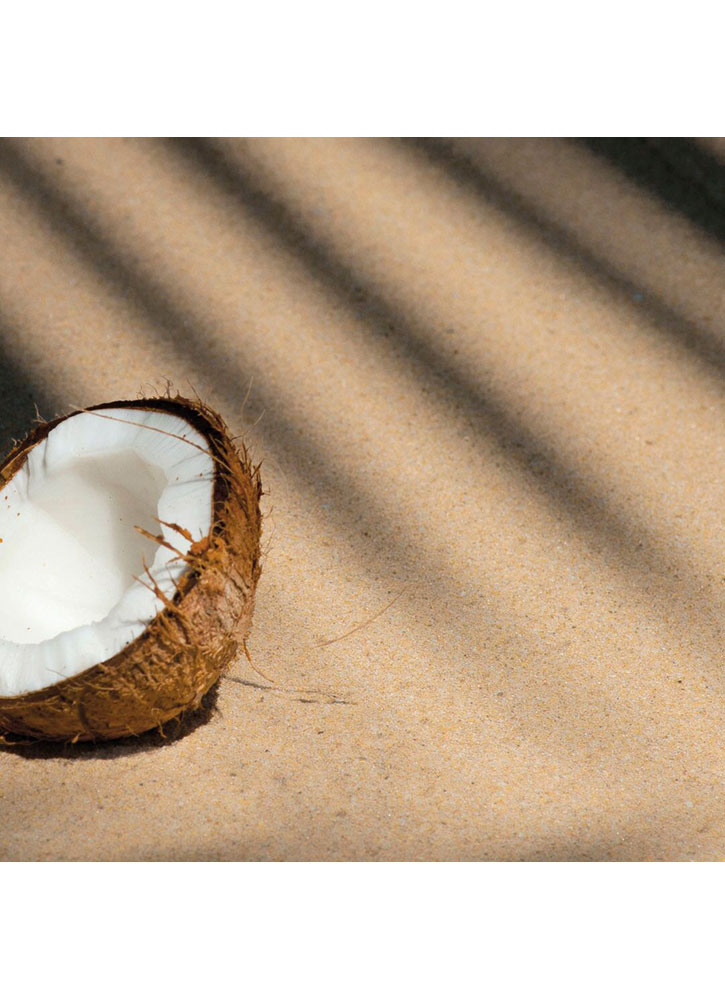 Image of Сухое масло Zanzibar