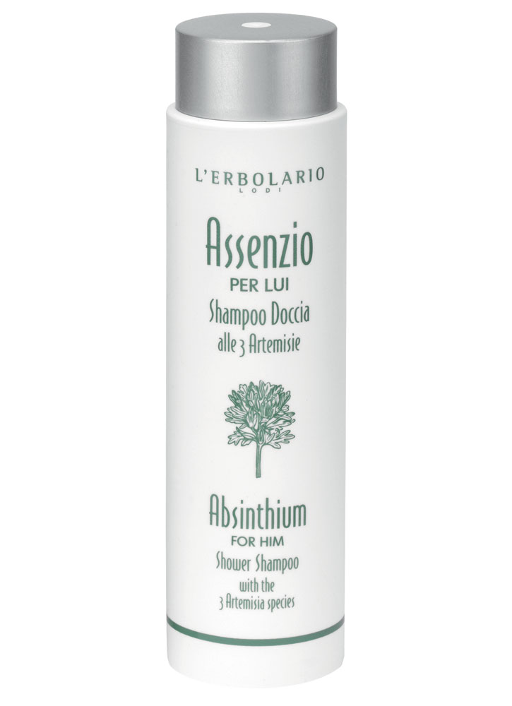 Image of Шампунь и гель для душа для мужчин Absinthium 