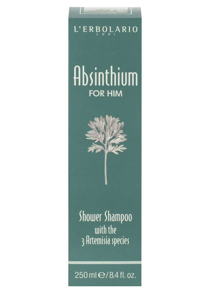 Image of Шампунь и гель для душа для мужчин Absinthium 