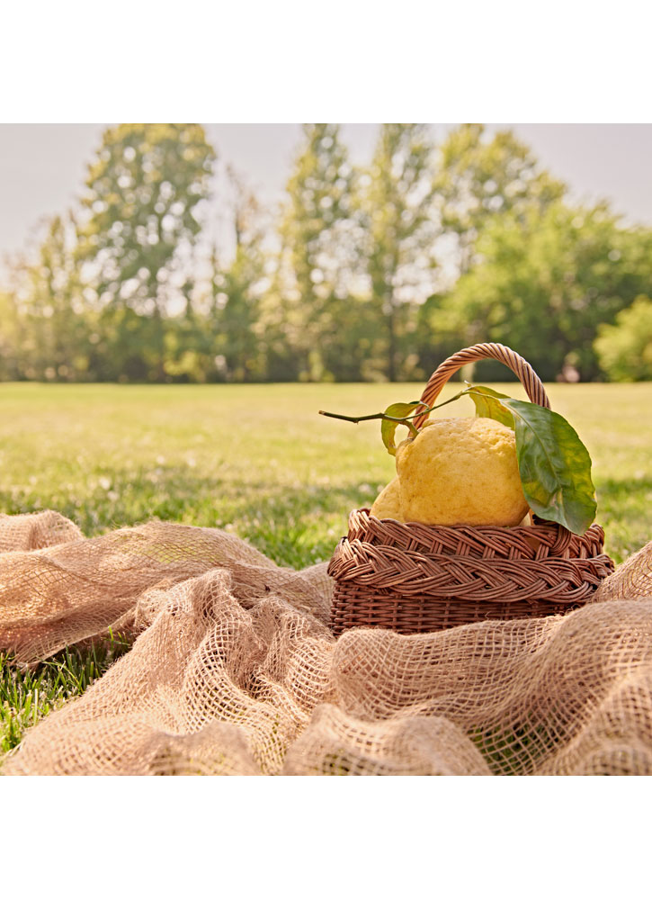 Image of Гель для душа Calabrian Citron