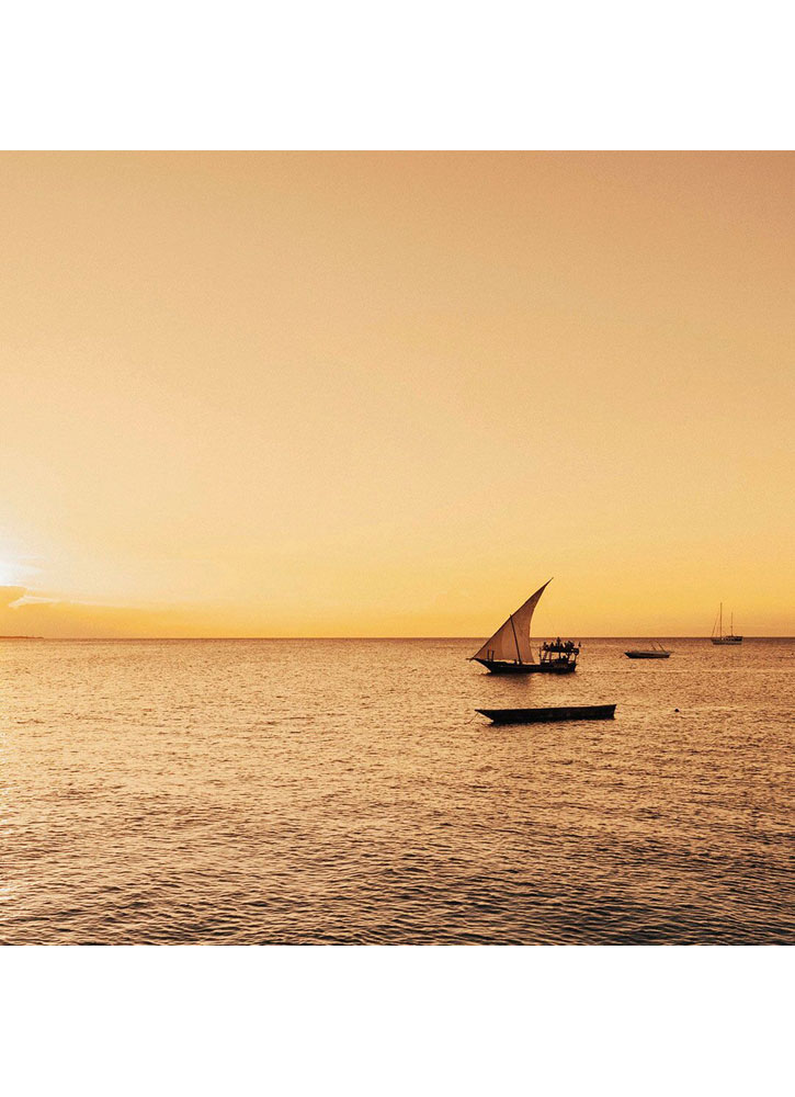 Image of Сухое масло Zanzibar