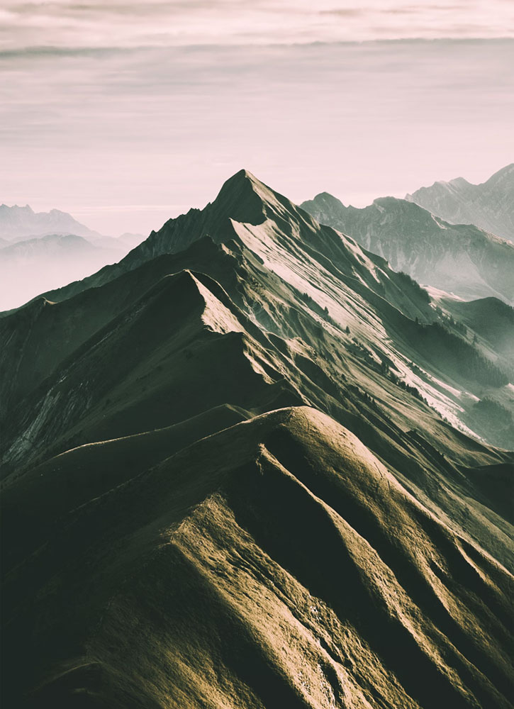 Image of Очищающая маска с Мате и глиной Patagonia