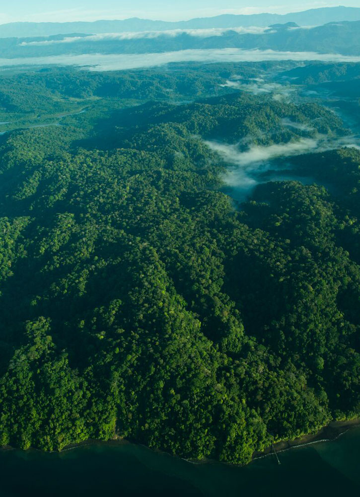 Image of Мыло Costa Rica
