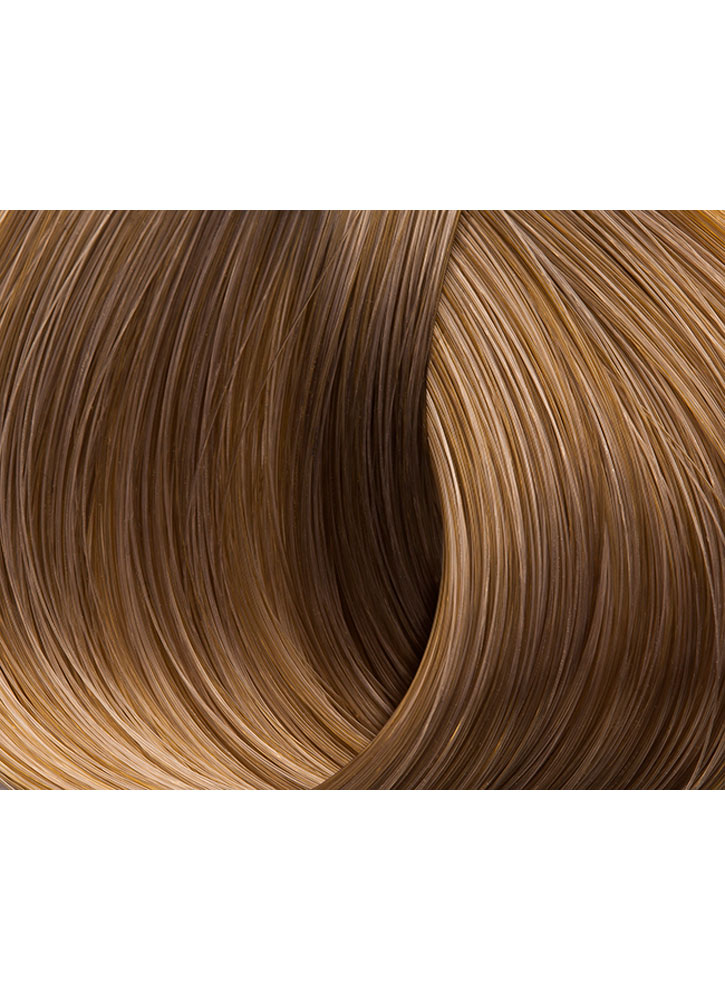Image of Краска для волос Beauty Color Professional тон 8.13