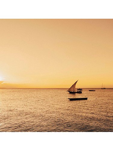 Image of Увлажняющий молочный крем Zanzibar