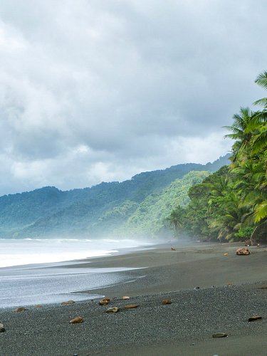 Image of Крем для тела Costa Rica
