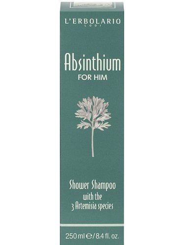 Image of Шампунь и гель для душа для мужчин Absinthium 