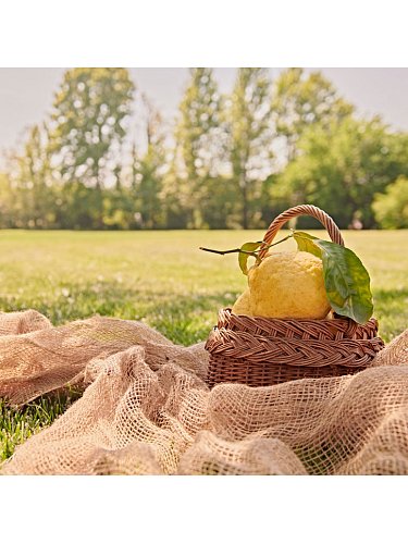 Image of Крем для тела Calabrian Citron
