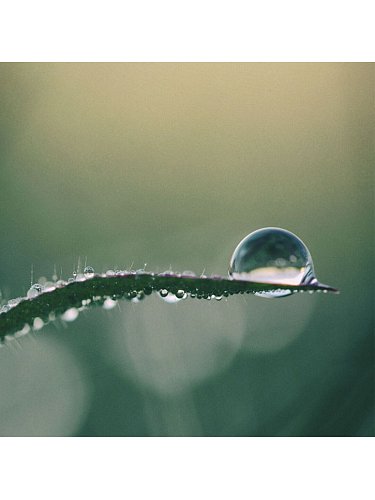 Image of Увлажняющий крем с водой Аоза 
