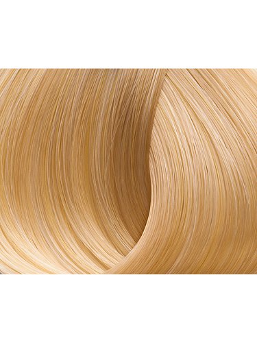 Image of Краска для волос Beauty Color Professional тон 10.13