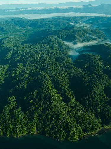 Image of Мыло Costa Rica